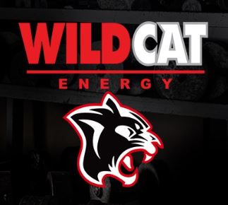 Wild Cat Energy logo